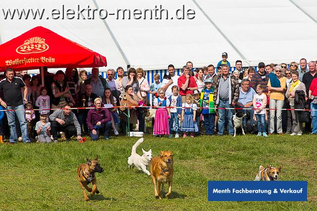 D - Foto Laudi Samstag -8105.JPG